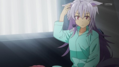 (81)
