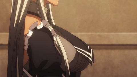 (81)