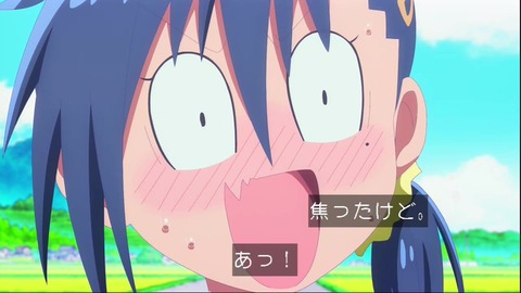 (233)