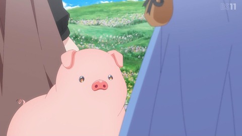 (244)