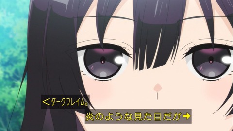 (67)