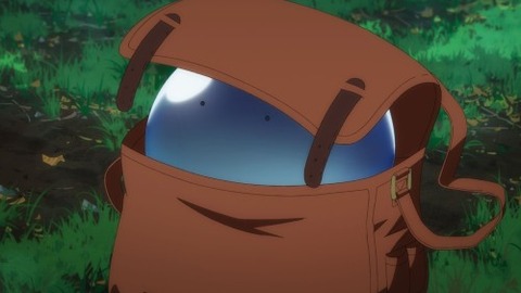 (70)