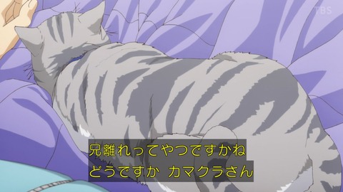 (252)
