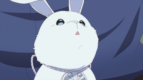 (231)