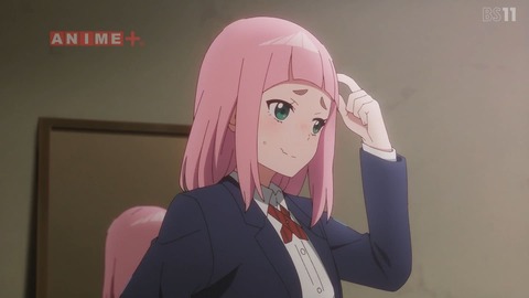 (81)