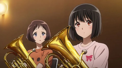(3)