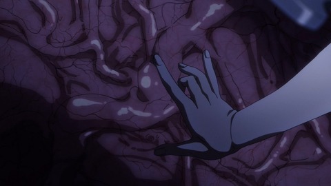 (537)