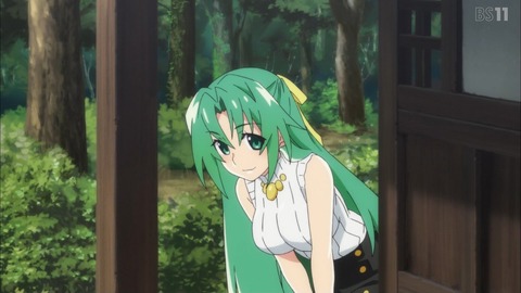 (43)
