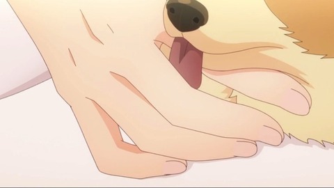 (47)