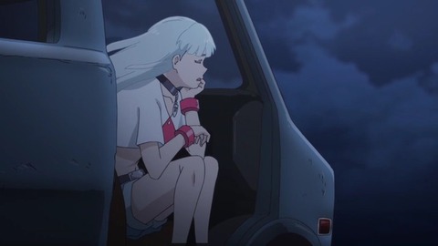 (231)