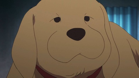 (231)