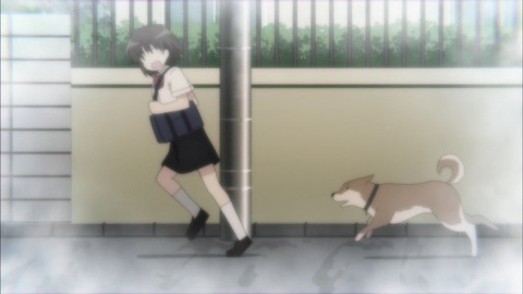 (13)