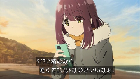 (96)