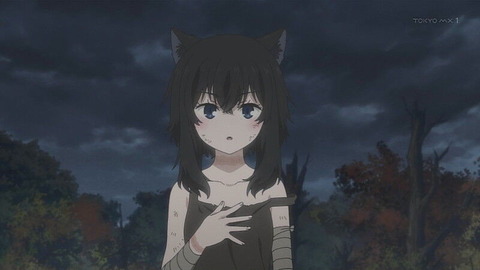 (41)