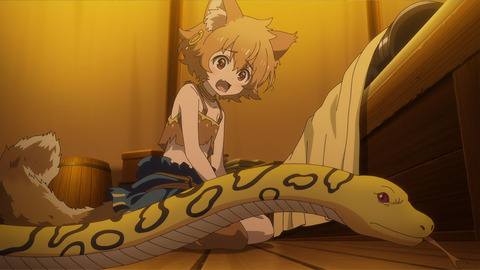 (3)