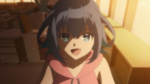 (333)