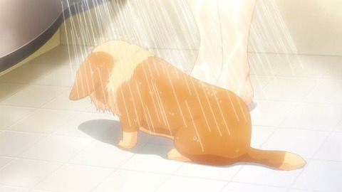 (76)