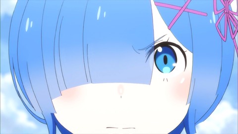 (48)