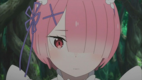 (48)