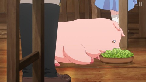 (236)