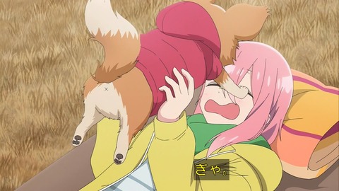 (153)