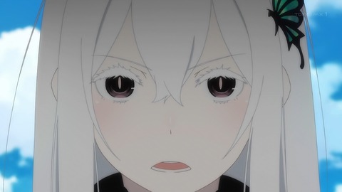 (4)