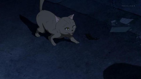 (85)