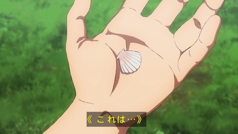 (81)