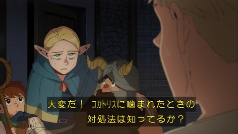 (56)