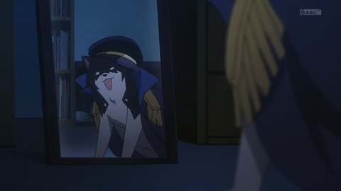 (46)