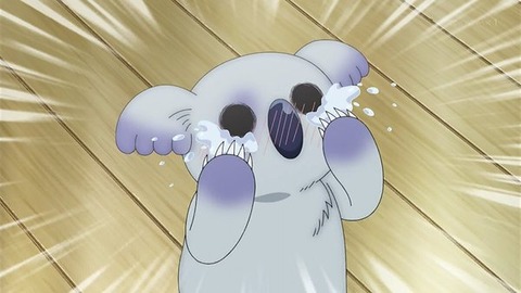 (13)