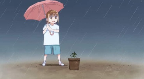 (245)