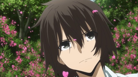 (253)