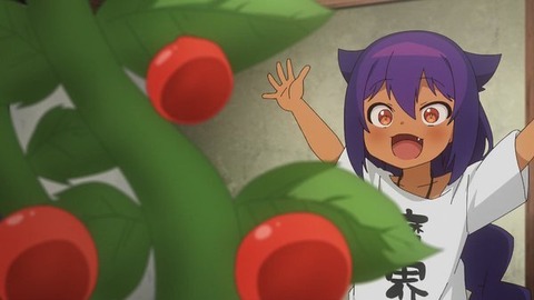 (3)