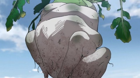 (252)