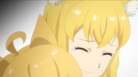 (11)