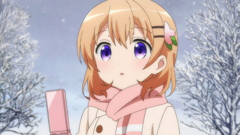 (41)