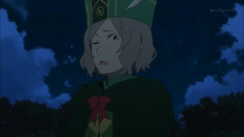 (47)
