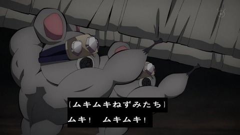 (244)
