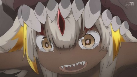 (11)