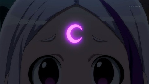(13)
