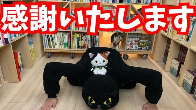 てん ダイゴ えら