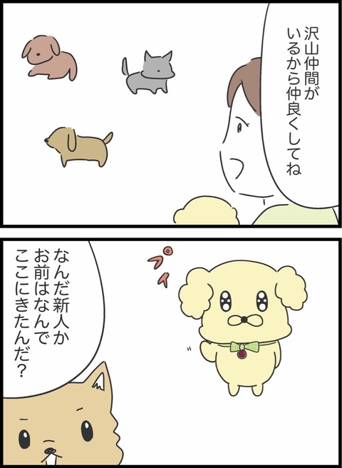 B7A363F8-D4D2-48DB-B1F8-35B9FF58E406