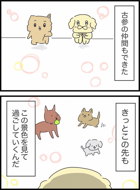 08886E0C-1375-48F2-B5CF-EC0697AD97C2