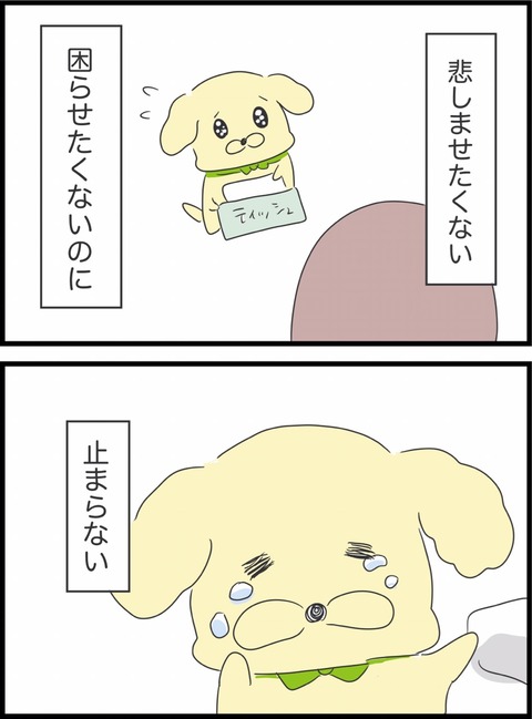 B3583961-73CB-4820-8B2D-D21F21B1F19C