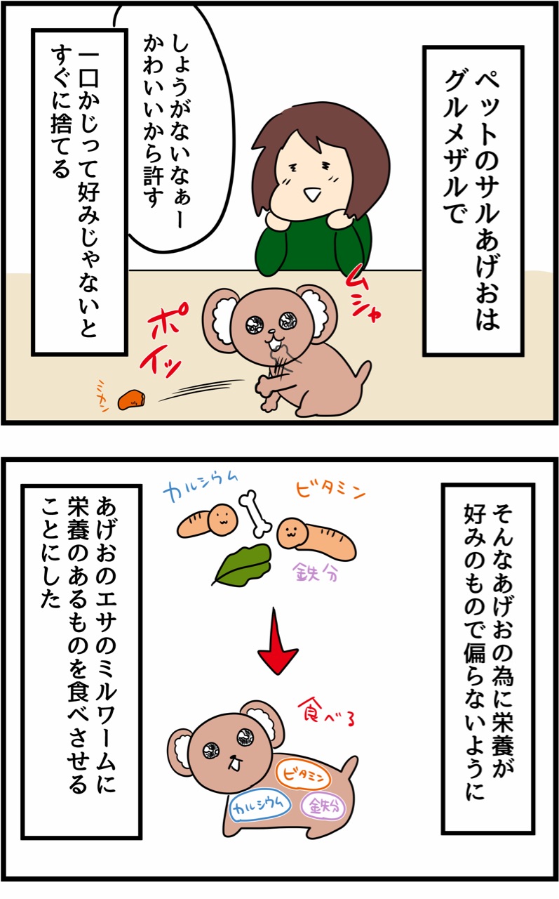 ペットのさるあげおへのしつけが変わった理由 人間まおと愉快な仲間たち Powered By ライブドアブログ ペットのさるあげおへのしつけが変わった理由 人間まおと愉快な仲間たち Powered By ライブドアブログ