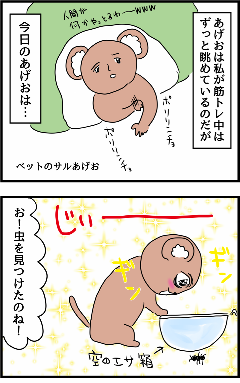 30日後に腹筋われる女【17日目】 人間まおと愉快な仲間たちPowered by ライブドアブログ