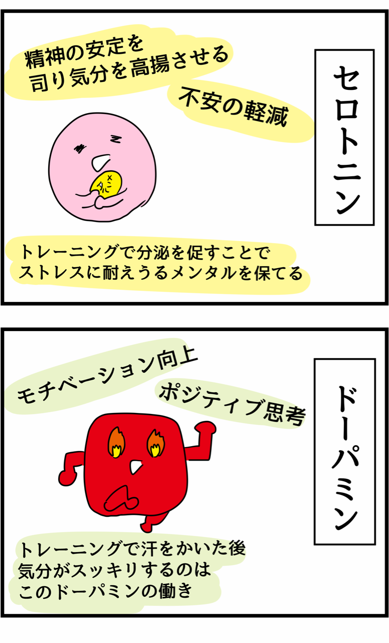 30日後に腹筋われる女 9日目 人間まおと愉快な仲間たち Powered By ライブドアブログ