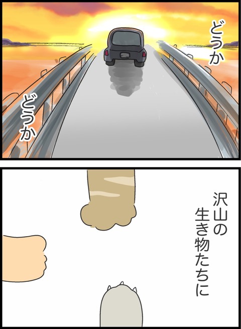 49F08F6E-C298-46FD-B10E-75708CF2864F