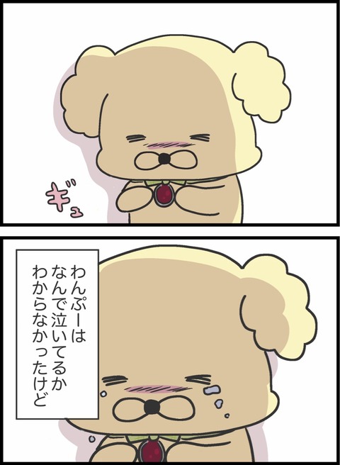 375AA811-4ED0-4667-943E-0EA23CF01D2F